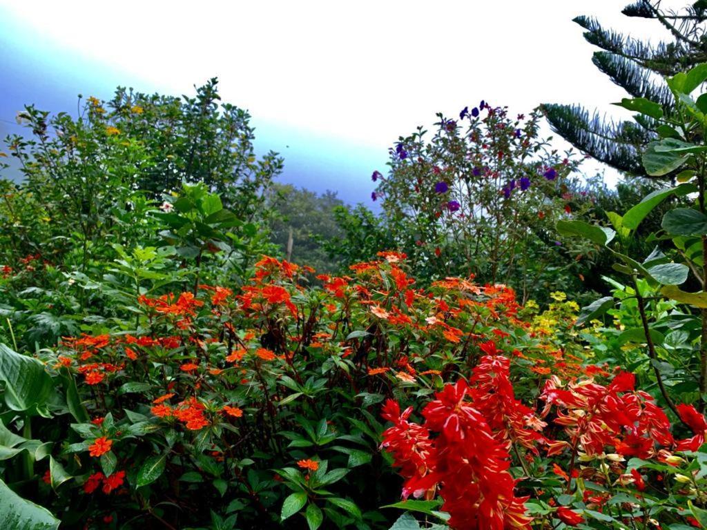 Finca Neblina Del Bosque Estelí Exterior photo